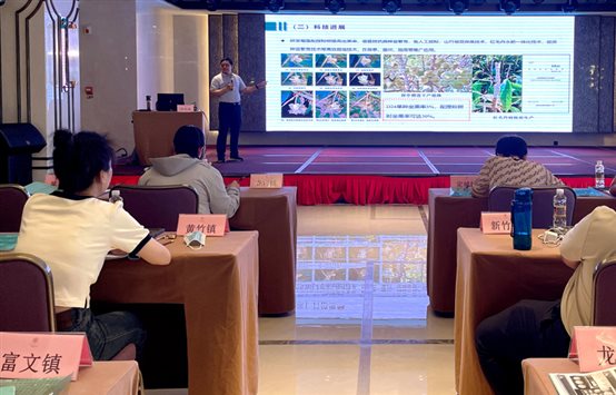 桌子上有许多电脑萤幕画面
低可信度描述已自动生成