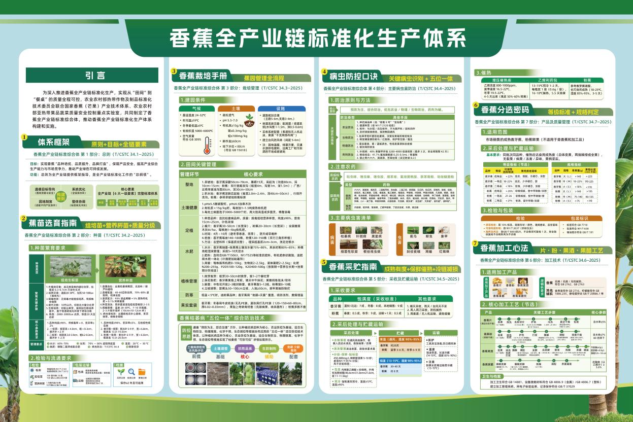香蕉全产业链标准化生产体系 香蕉全产业链标准化生产体系