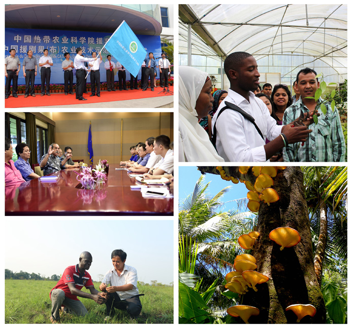 二等奖.jpg 二等奖.jpg