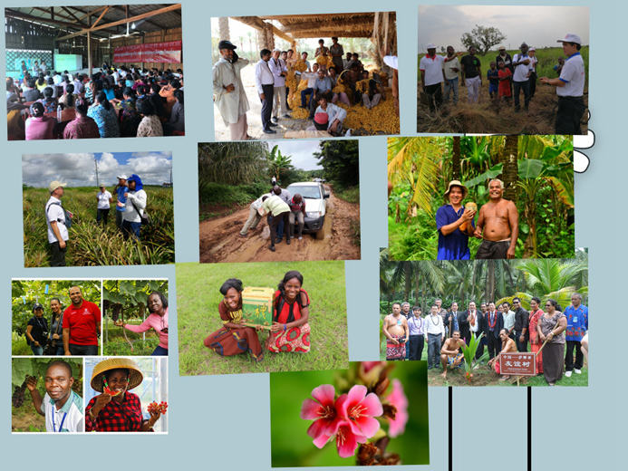 三等奖.jpg 三等奖.jpg