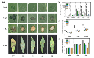 FIGURE3