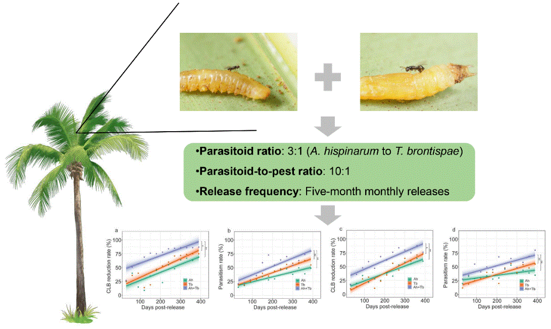 图示

描述已自动生成