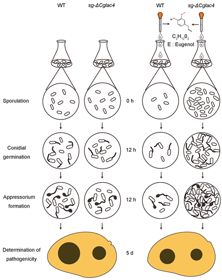 Fig. 7-20241018