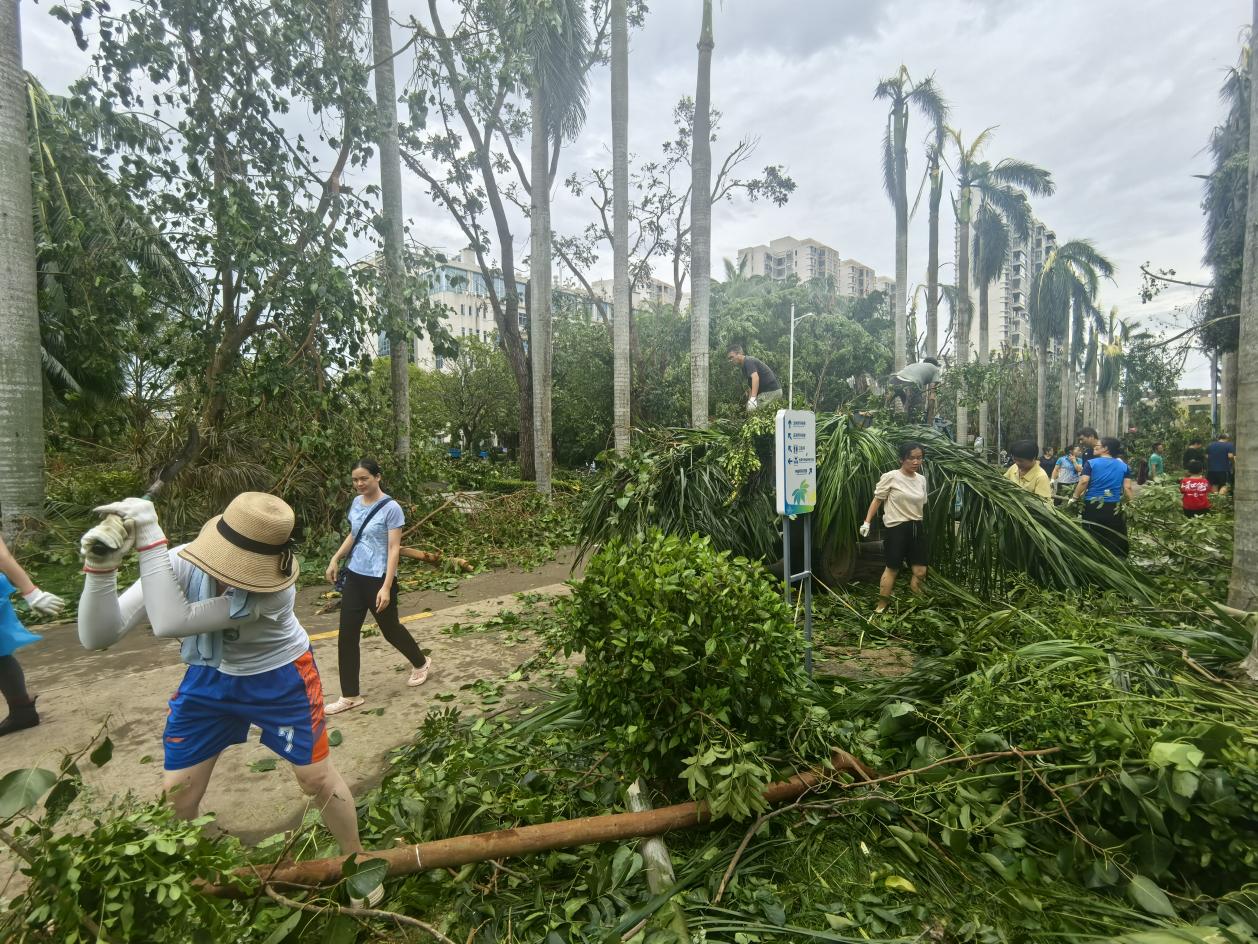 2.海口院区组织职工和志愿者积极恢复道路