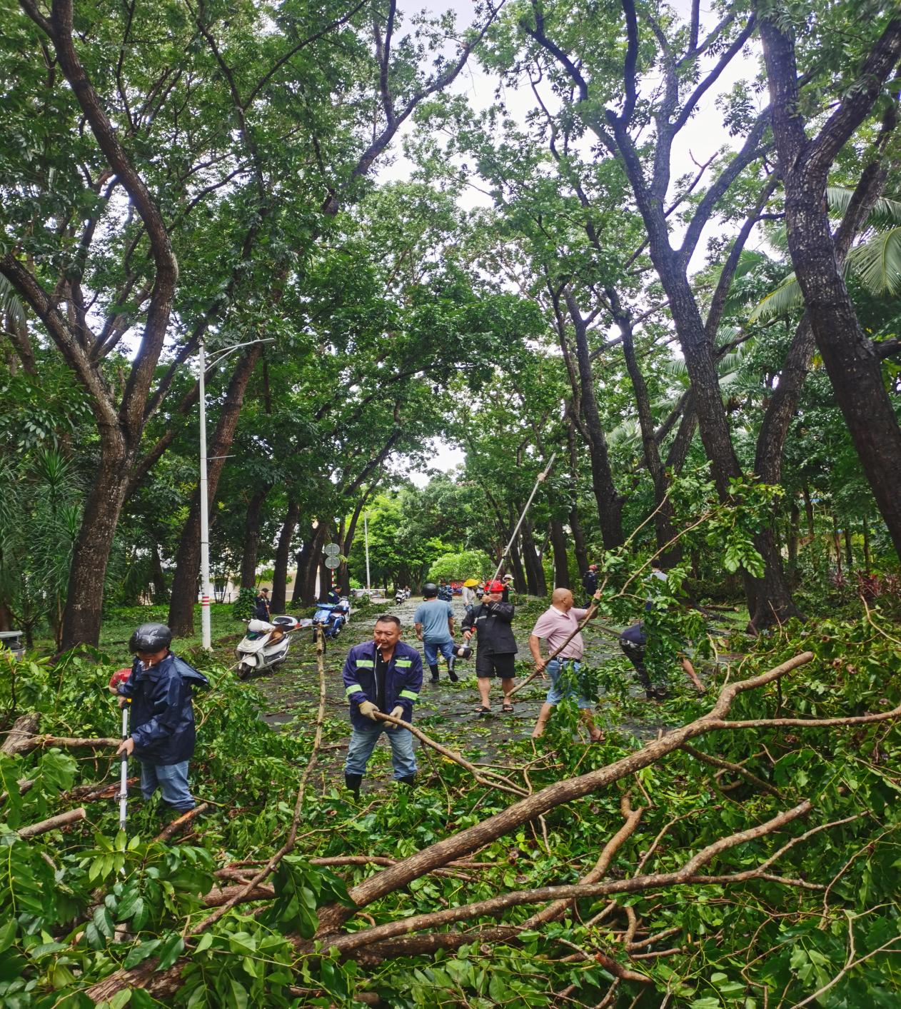 儋州院区职工清理科教主楼前路障