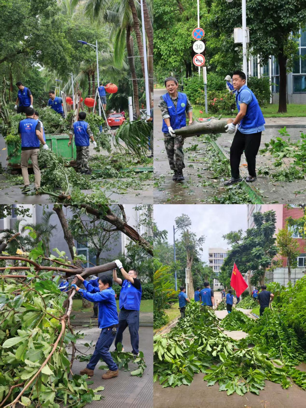 995577b28eca3cc37a6964917c390095