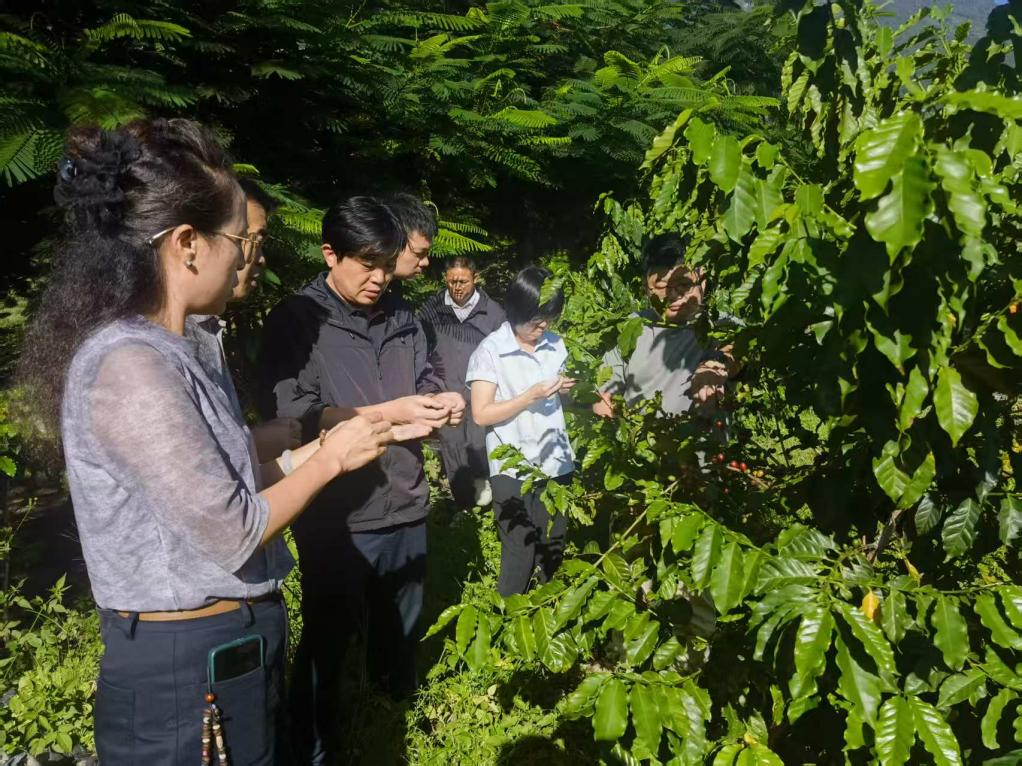 54cc668c527c1581467436037eb6dd1f