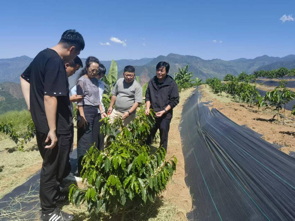 06db8531c571ae5ce6bb867c2982e56b