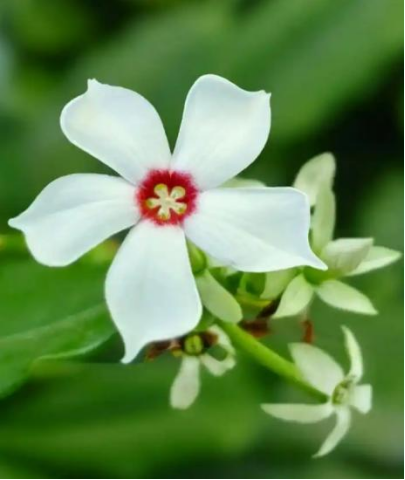 7ad8dc1f-9e5a-4e52-81b3-2ce6a9349d45.png 7ad8dc1f-9e5a-4e52-81b3-2ce6a9349d45.png