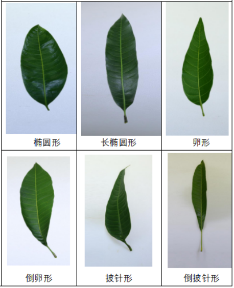 31e9d969-39a7-408e-8751-c5d8f83d3fd5.png 31e9d969-39a7-408e-8751-c5d8f83d3fd5.png