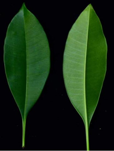 6b17c627-97b3-4f44-ba1f-0e2169aface2.png 6b17c627-97b3-4f44-ba1f-0e2169aface2.png