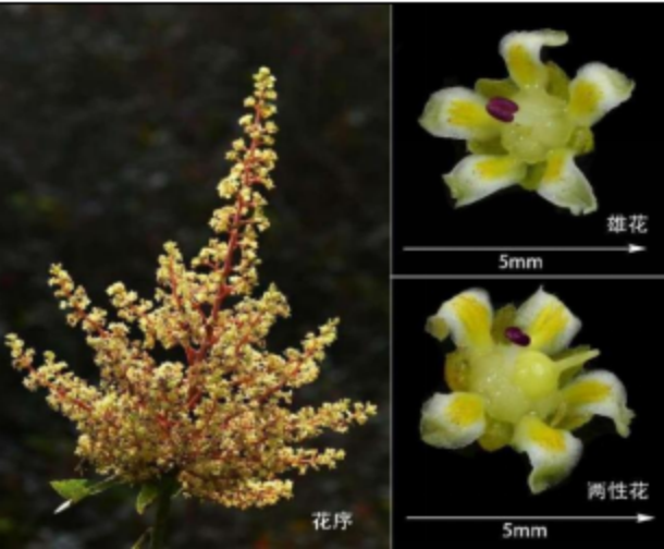 2e2c2d68-cbf2-444d-856e-67131984379e.png 2e2c2d68-cbf2-444d-856e-67131984379e.png