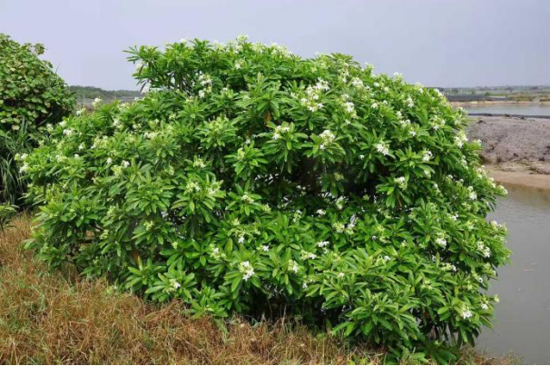 8e7eefd7-7d4f-4317-9cb5-2b1bf2b6697c.png 8e7eefd7-7d4f-4317-9cb5-2b1bf2b6697c.png