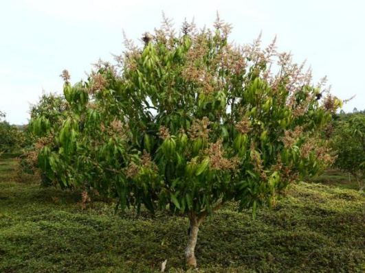 d1eb9cac-c29d-48db-afd2-9319ff39aa36.png d1eb9cac-c29d-48db-afd2-9319ff39aa36.png