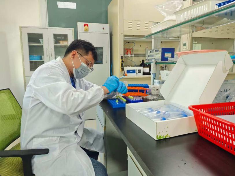 da008db56f766526acf68fa29de905fa