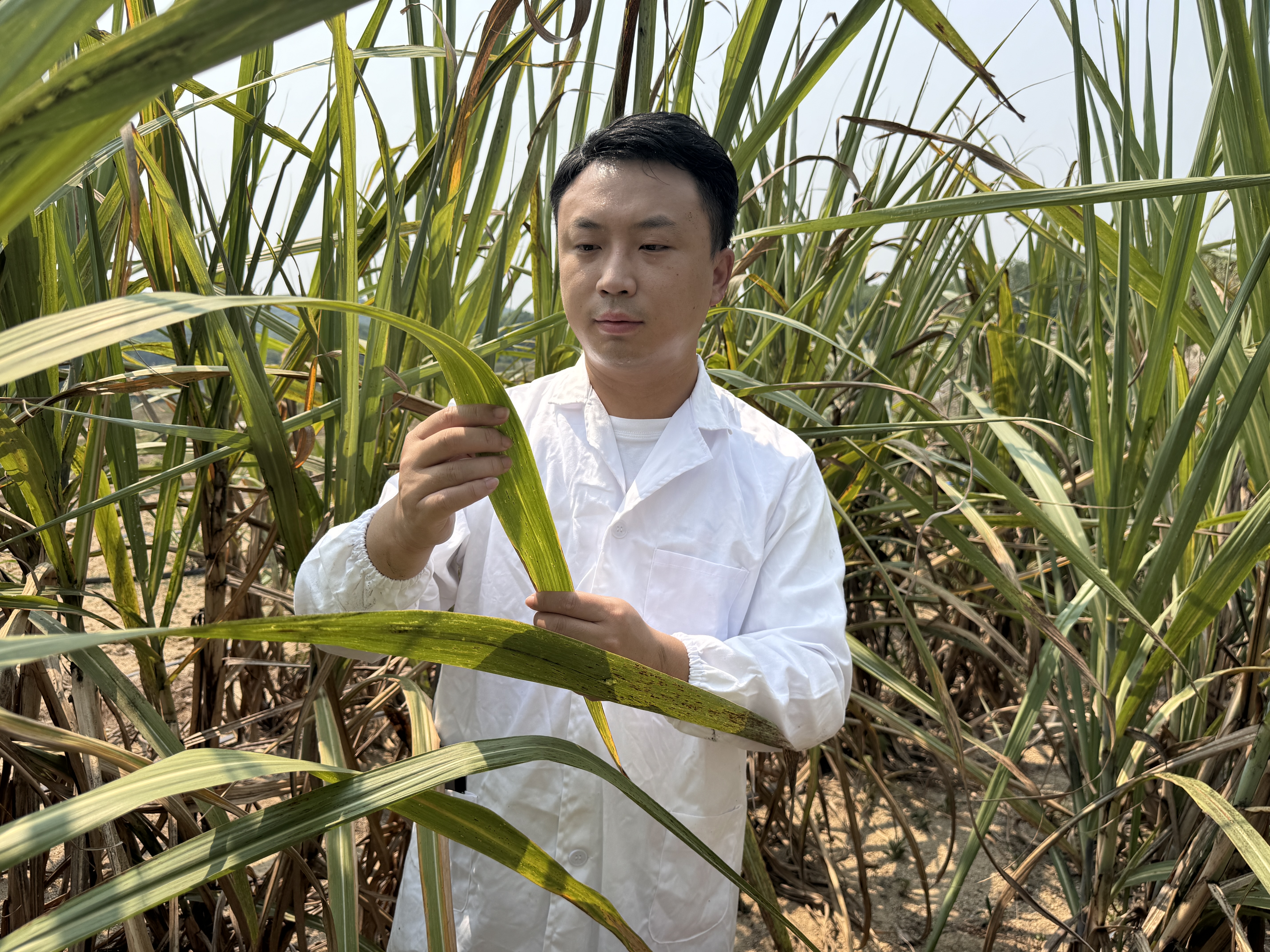 7de1ce245f41a6d94b6b1b8772b29049