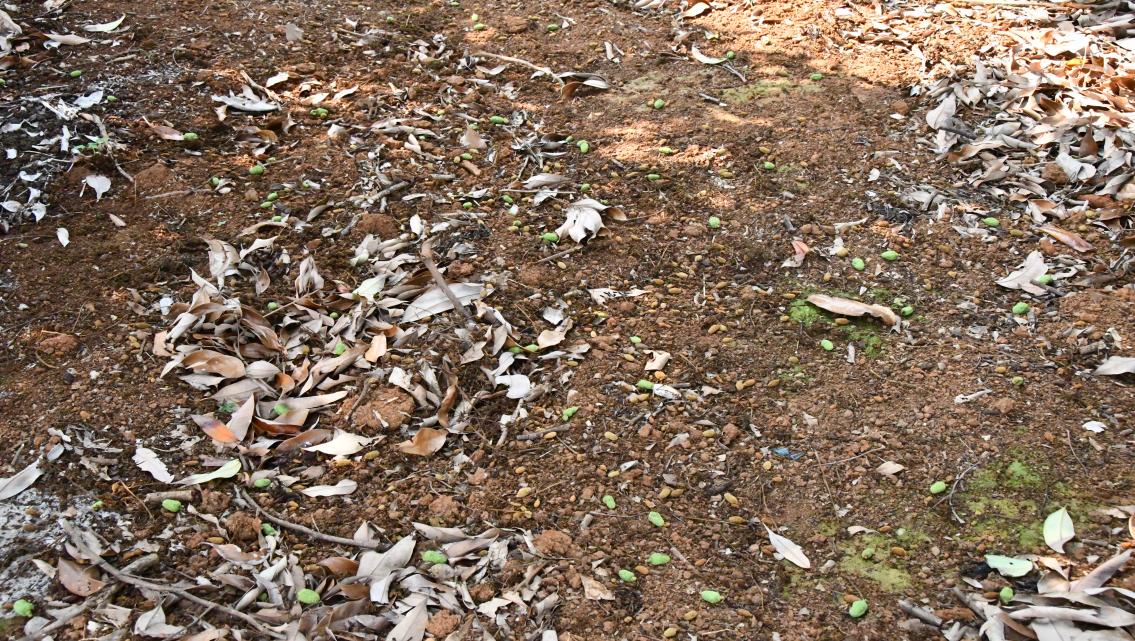 cd2579835002be4b279666b0dc8654fa cd2579835002be4b279666b0dc8654fa