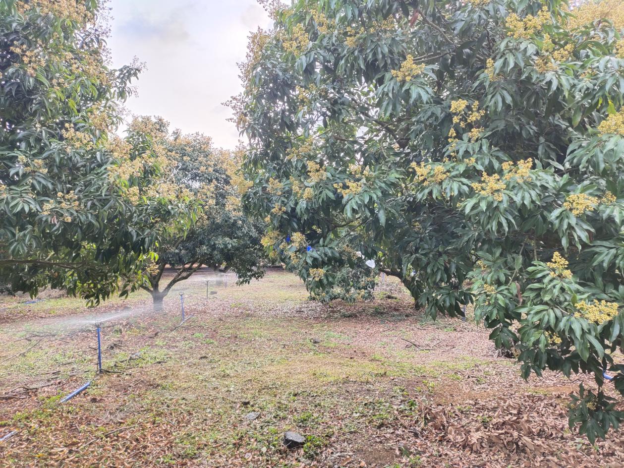 IMG_20210313_164929 IMG_20210313_164929